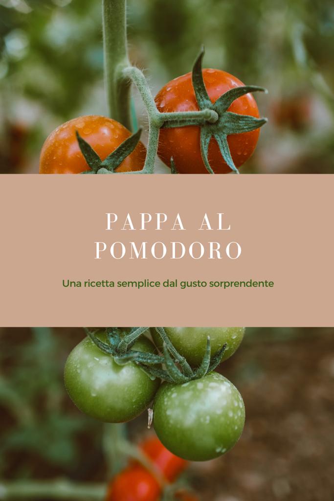 Pappa al pomodoro con burrata